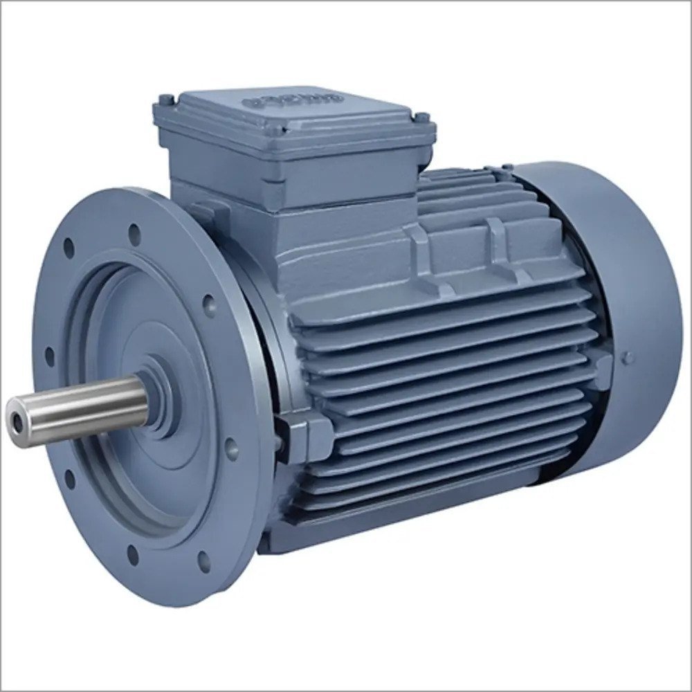 Flange Mounted Motor (1)