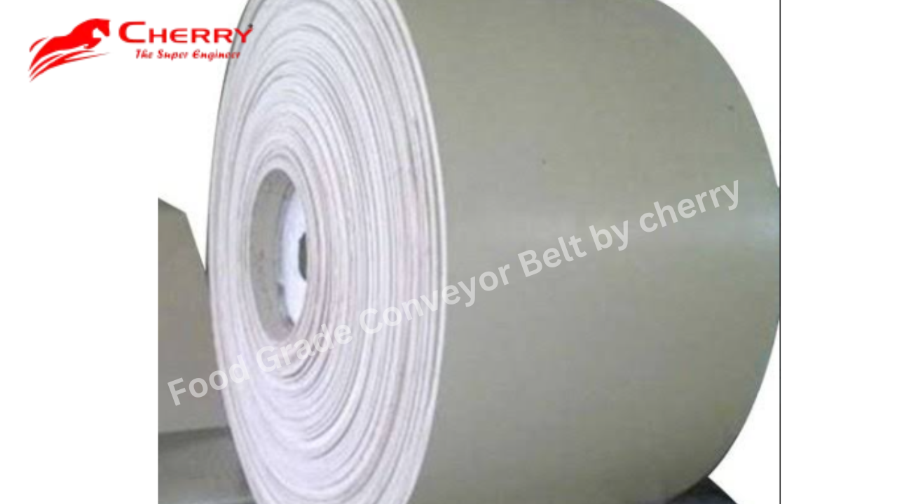 Food Grade Conveyor Belt cherry belts