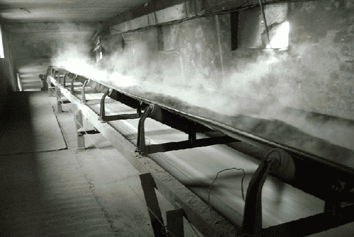 CHERRY OIL RESISTANT CONVEYOR BELT